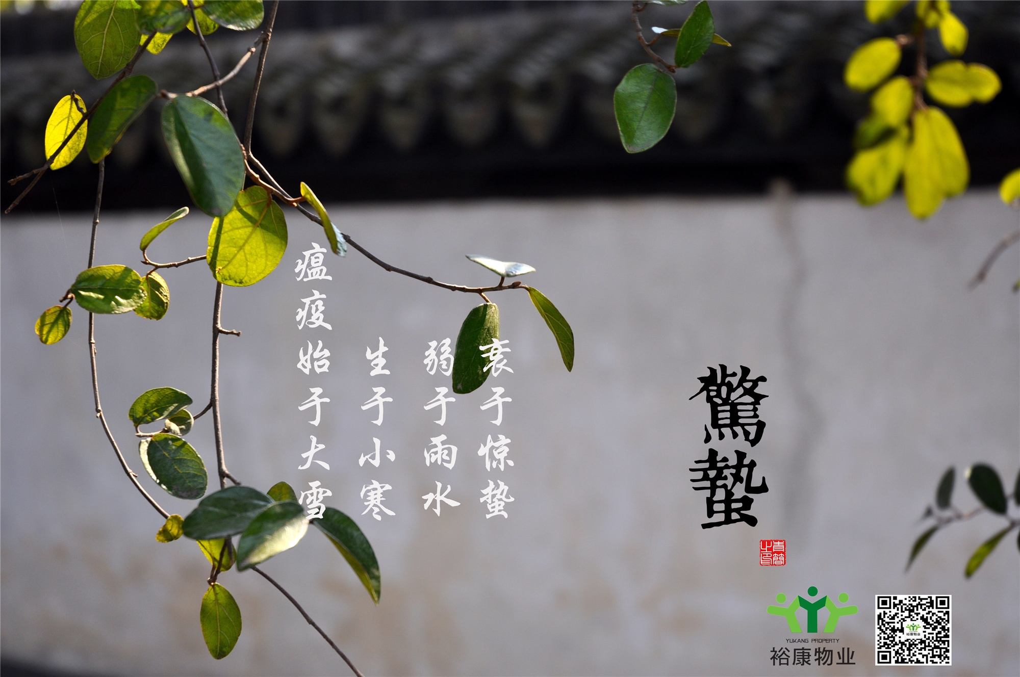 庚子春，二月十二，驚蟄日